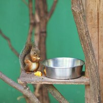 東山動物園