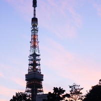 東京タワー２０１３