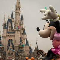 ディズニーリゾート旅行