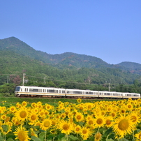 鉄道風景写真