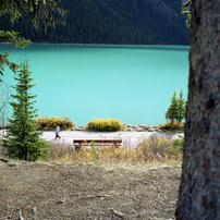 MAMIYA(マミヤ)のフィルムカメラ7 II で撮影した写真(画像)一覧- 写真