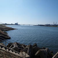 海