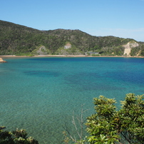 諸数の海