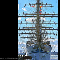 sailing ～日本丸