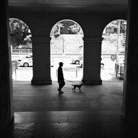 My Life+Toy Camera