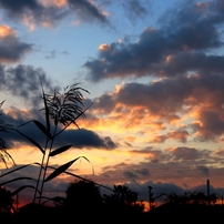 夕焼け