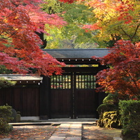 秋のお寺