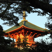筑波山・成田山