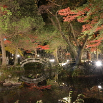 聖宝寺 ライトアップ