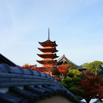 宮島散策2013
