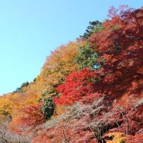 高尾山の紅葉_001