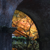 京都の秋２０１３