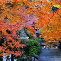 大興善寺の紅葉　２０１３