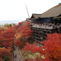京都の秋を満喫