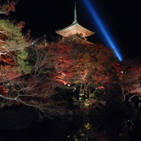 清水寺ライトアップ！