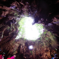 屋久島旅行の思い出