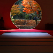 円窓の秋