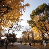 TEST:TAMRON SP AF 10-24mm F/3.5-4.5 DiII