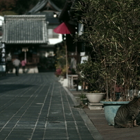 安芸の小京都ちょい旅　01