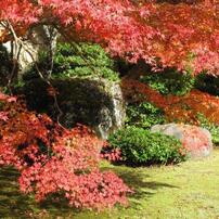 嵐山大河内荘、紅葉の旅