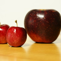 りんごの写真 画像 写真集 写真共有サイト Photohito