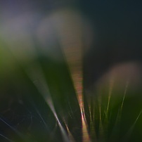 虹のストリング