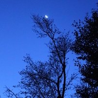 夜明け前