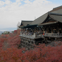 京都　秋　２０１３