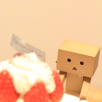 ダンボー　+　Sweets