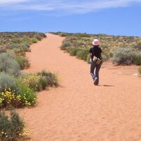 CASIO(カシオ)のデジタルカメラEXILIM EX-S100 で撮影した写真(画像