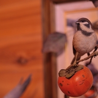 BirdCarving