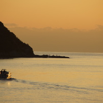 Evening view