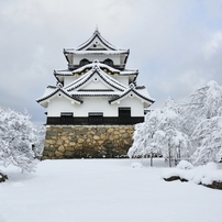 彦根城、雪