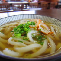 讃岐うどん　かけうどん