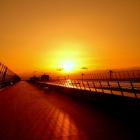 PANASONIC(パナソニック)のデジタルカメラLUMIX DMC-FX550 で撮影した