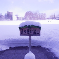 北へ