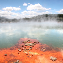 ニュージーランド　ロトルアの温泉の色