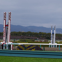 阪神競馬場にいってきました