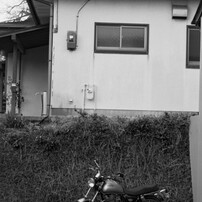 TOKINA(トキナー)のレンズ EMZ 280AF II (ｺﾆｶﾐﾉﾙﾀ用) で撮影した写真