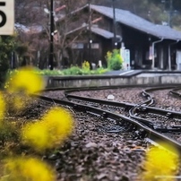 雨の一宮駅・・・