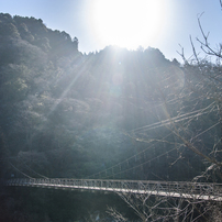 希望への架け橋（中山七里）