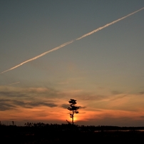 夕焼け