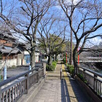 聲の形