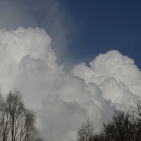 雲