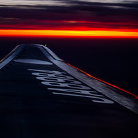 sunset wing