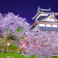 夜の郡山城跡