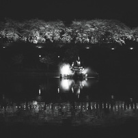 桜monochrome