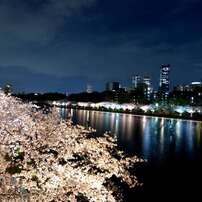 TOKINA(トキナー)のレンズ AT-X 124 PRO DX II 12-24mm F4 (ニコン用