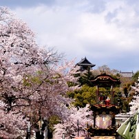 犬山の春景