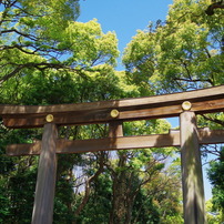 明治神宮